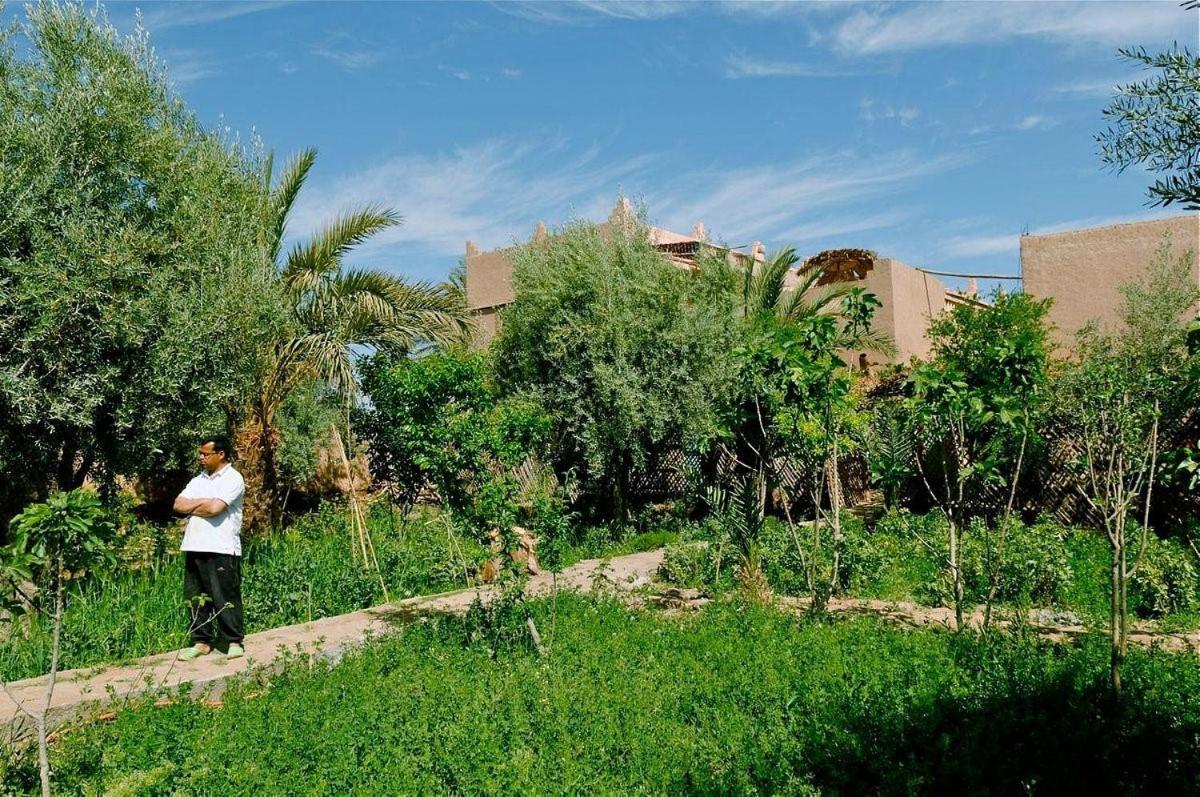 Gite Kasbah La Palmeraie Skoura Exterior foto