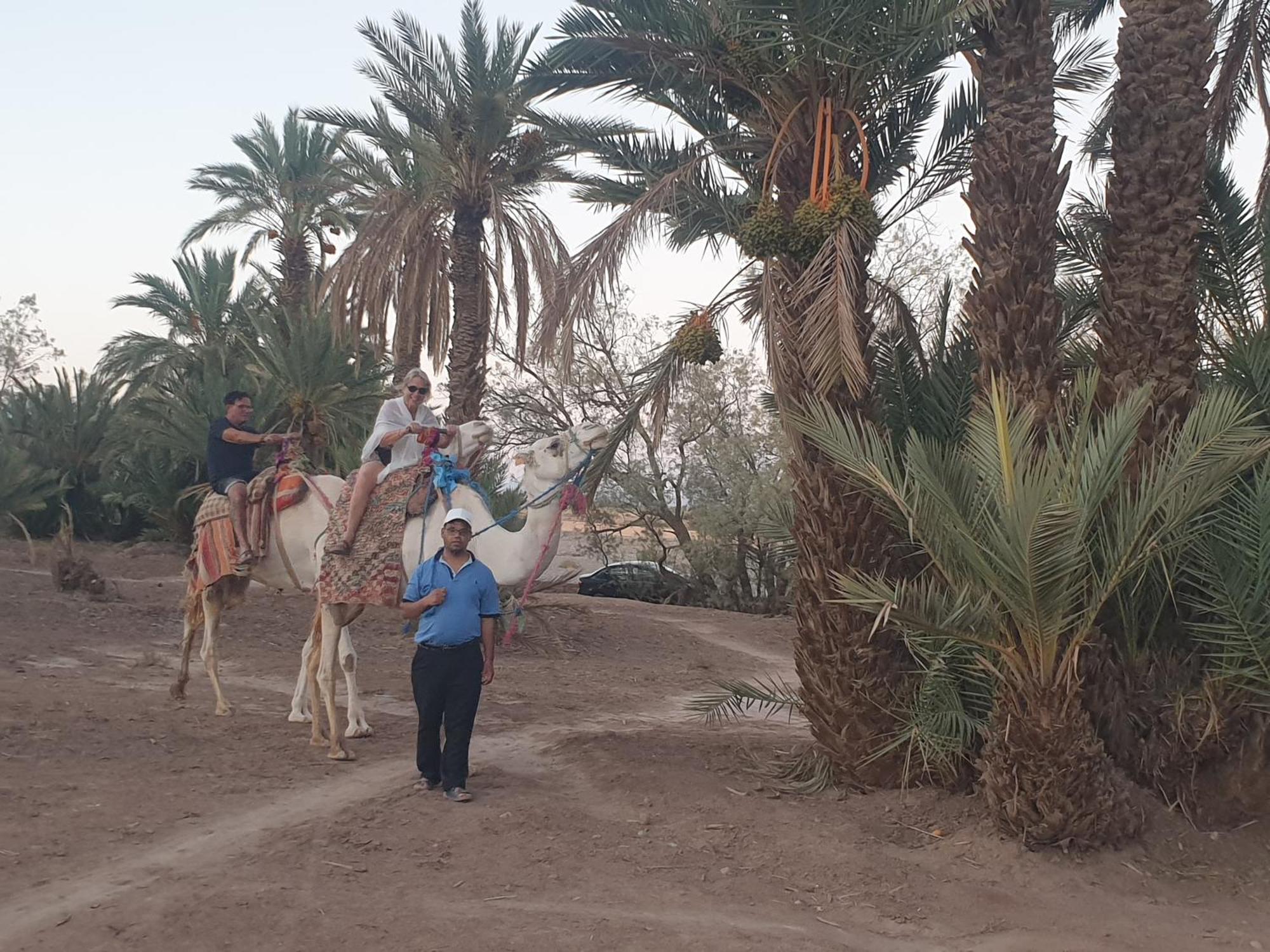 Gite Kasbah La Palmeraie Skoura Exterior foto