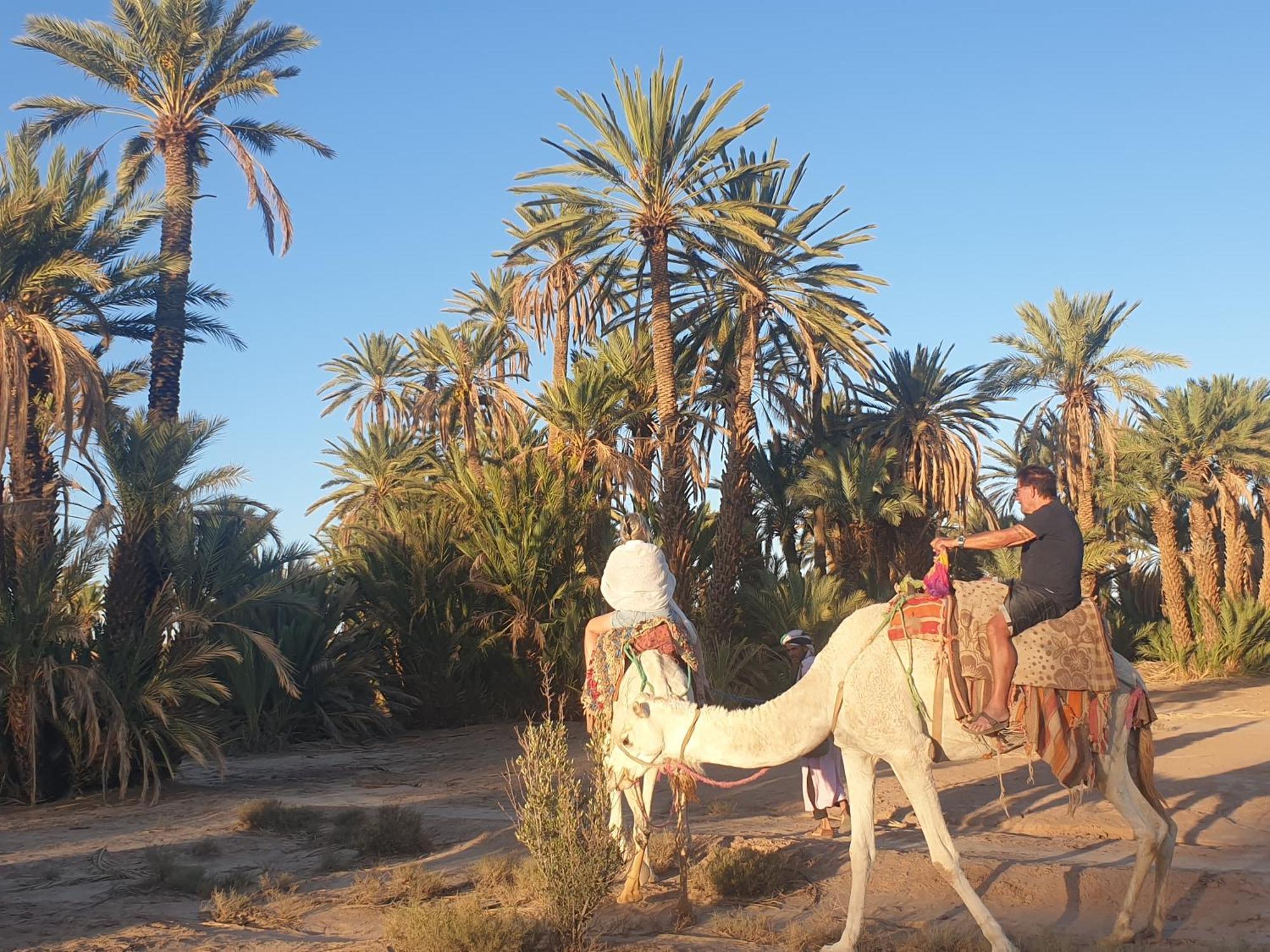 Gite Kasbah La Palmeraie Skoura Exterior foto