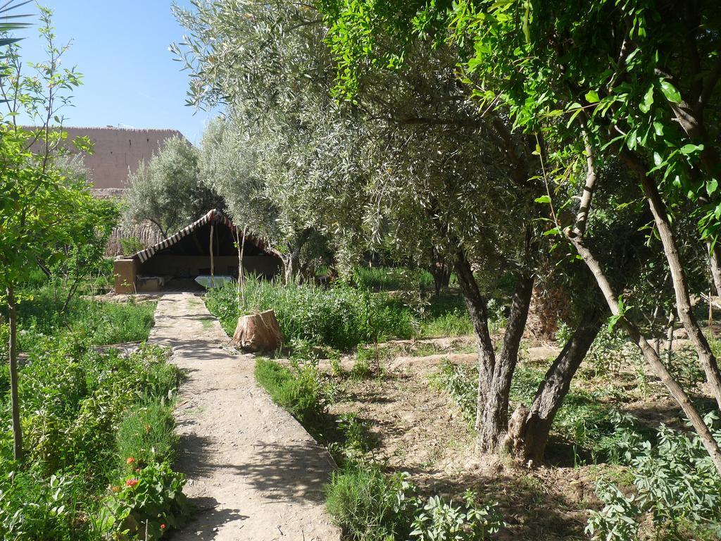 Gite Kasbah La Palmeraie Skoura Exterior foto