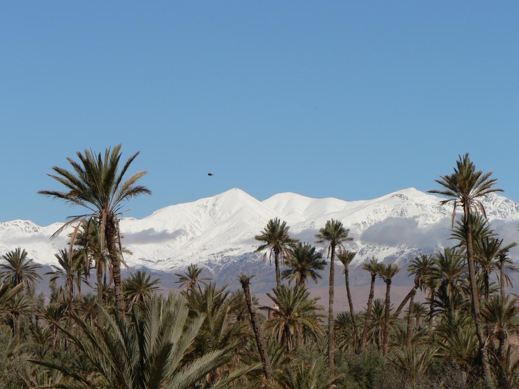 Gite Kasbah La Palmeraie Skoura Exterior foto
